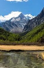 大象传媒91app下载-解锁娱乐新境界，大象传媒91app的探索之旅