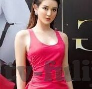 国产麻豆精品91免费-寻找国产麻豆精品91免费惊喜，揭秘背后的互联网文化