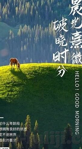 果冻传媒破解-探索数字娱乐的边界，果冻传媒与内容创新