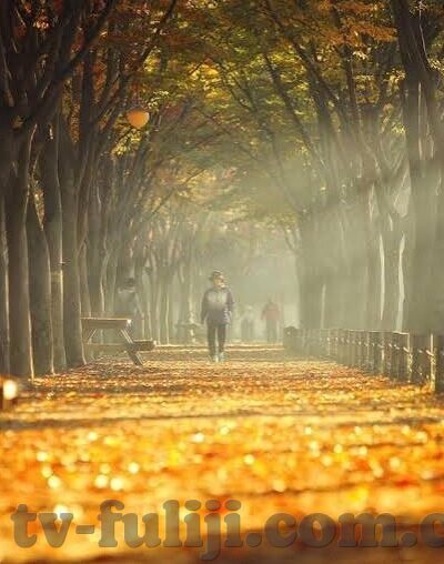果冻传媒在线观看免费完-探索果冻传媒，在线免费观影的乐趣与边界