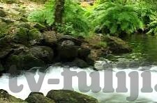 久草中文字幕视觉-探索多元文化视角下的艺术表达，久草中文字幕视觉的独特魅力
