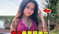 伦理网-伦理网，编织人类行为与道德的纽带