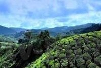 麻豆传媒视频免费-解锁文化视野，浅谈‘麻豆传媒视频’的多元化价值与合法性考量