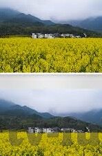 糖心交友官网-探索糖心交友官网，现代社交的别样路径