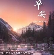 糖心Vlog下载官网入口-探索高人气生活分享—糖心Vlog，下载的新世界入口