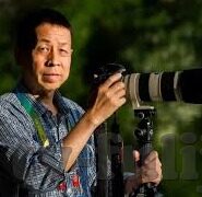 糖心vlog在线视频下载-在线视频时代，轻松捕捉糖心vlog的魅力度