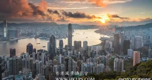 网站麻豆视频-专题，深入浅出的网站麻豆视频分析