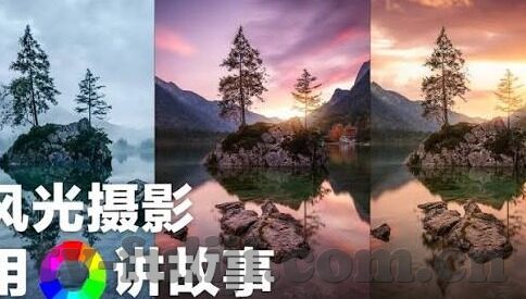 向日葵视频成人app-探索向日葵视频成人app，网络文化与个人选择的交汇